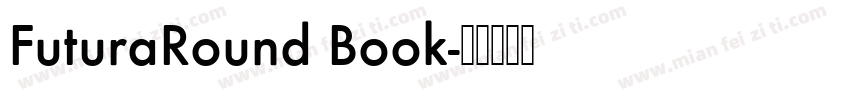 FuturaRound Book字体转换